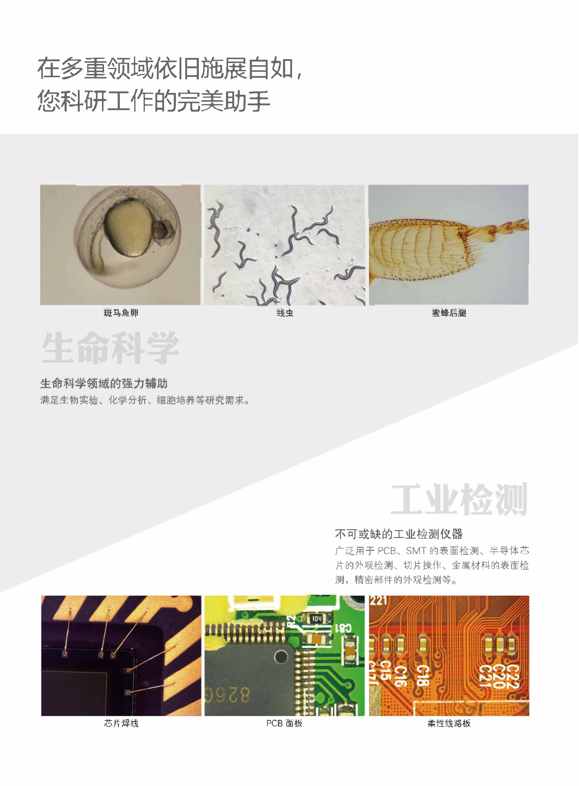 显微镜转C接口适配器_页面_4_页面_8.jpg