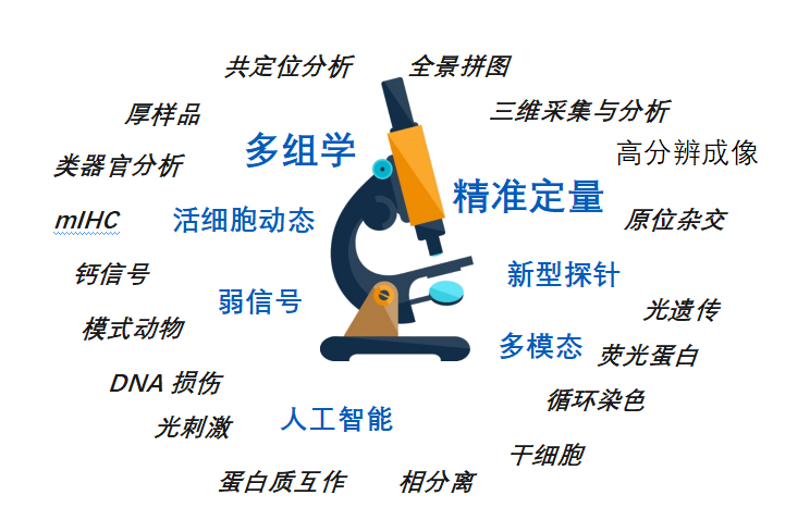 1790042792197490.png image.png